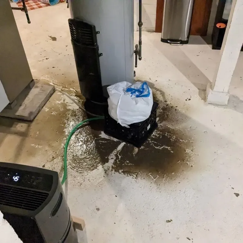 Sewage Backup Cleanup Service in Bunkerville, NV